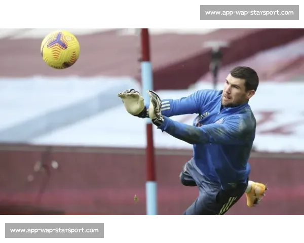 马修 - 瑞安百场扑点助澳洲晋级，社媒发声：梦想终会实现