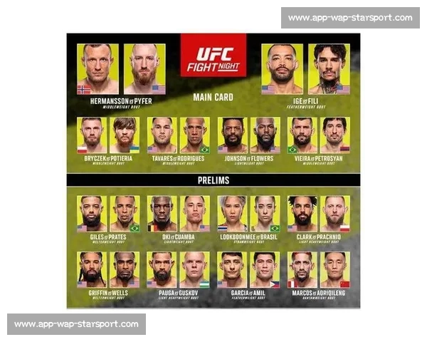 UFC 初学者指南:规则、量级与明星选手 UFC 初学者指南:规则、量级与明星选手
